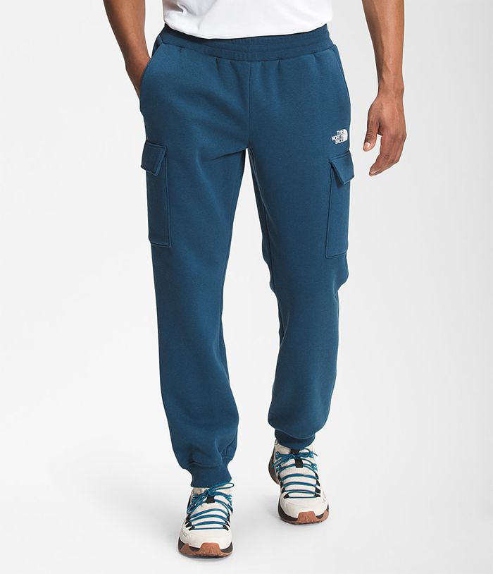 Pantalones The North Face Hombre Azules Coordinates 37605UYQL